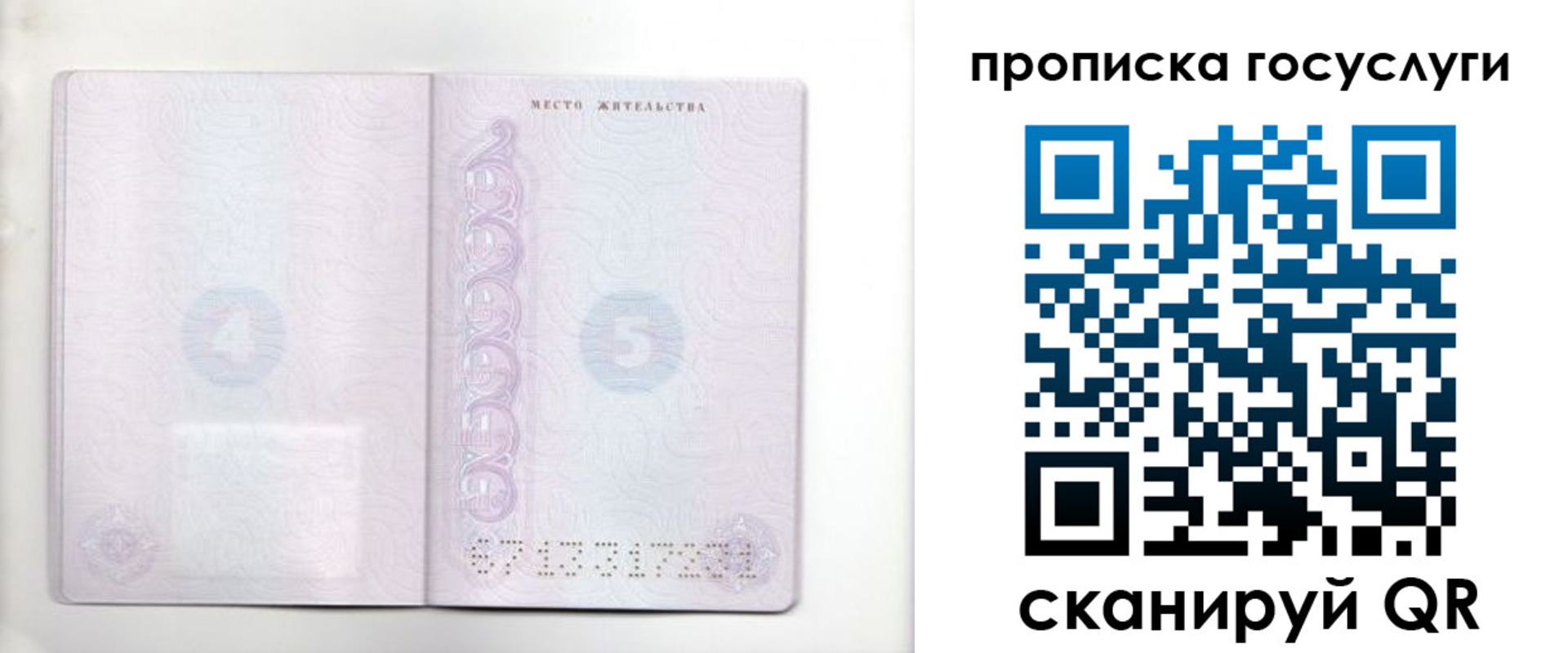 временная регистрация для всех в Орловской области